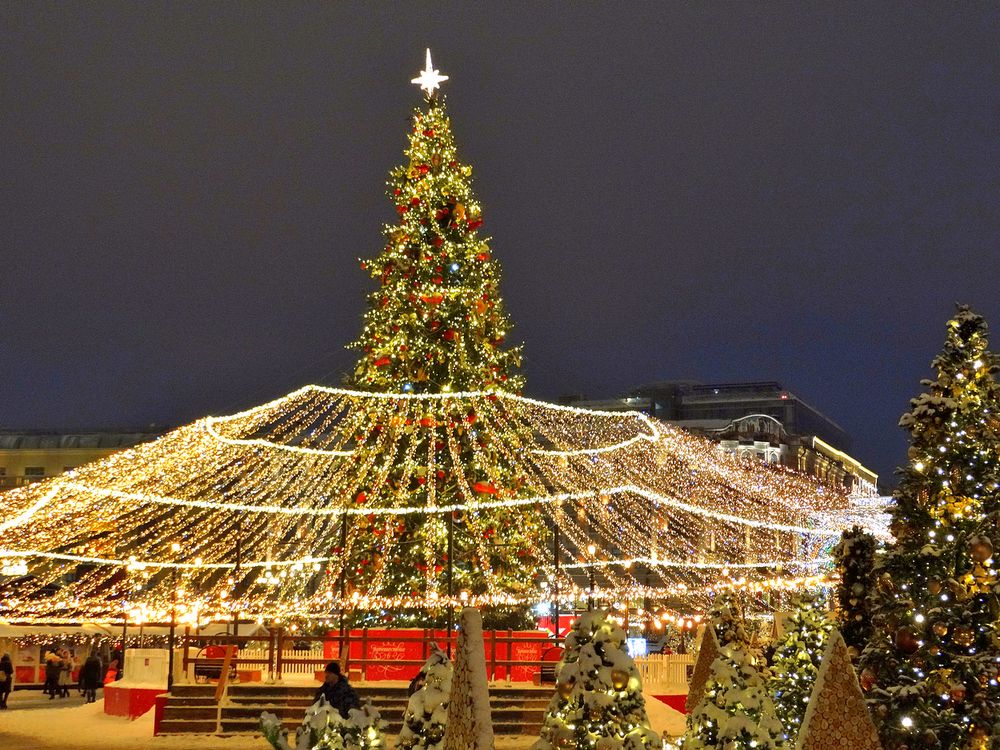 Ёлка в праздник