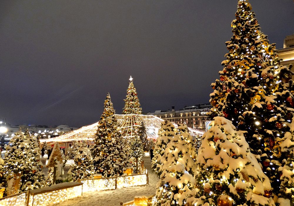 Праздничные ёлки