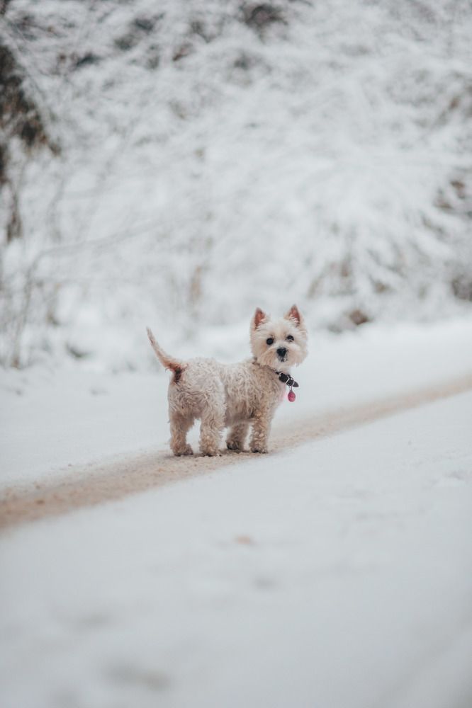 Photograph by Антон Киптиков