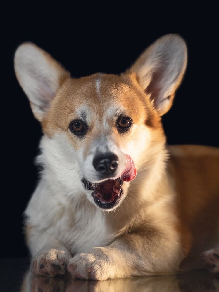 Photograph by Владислава Протащик