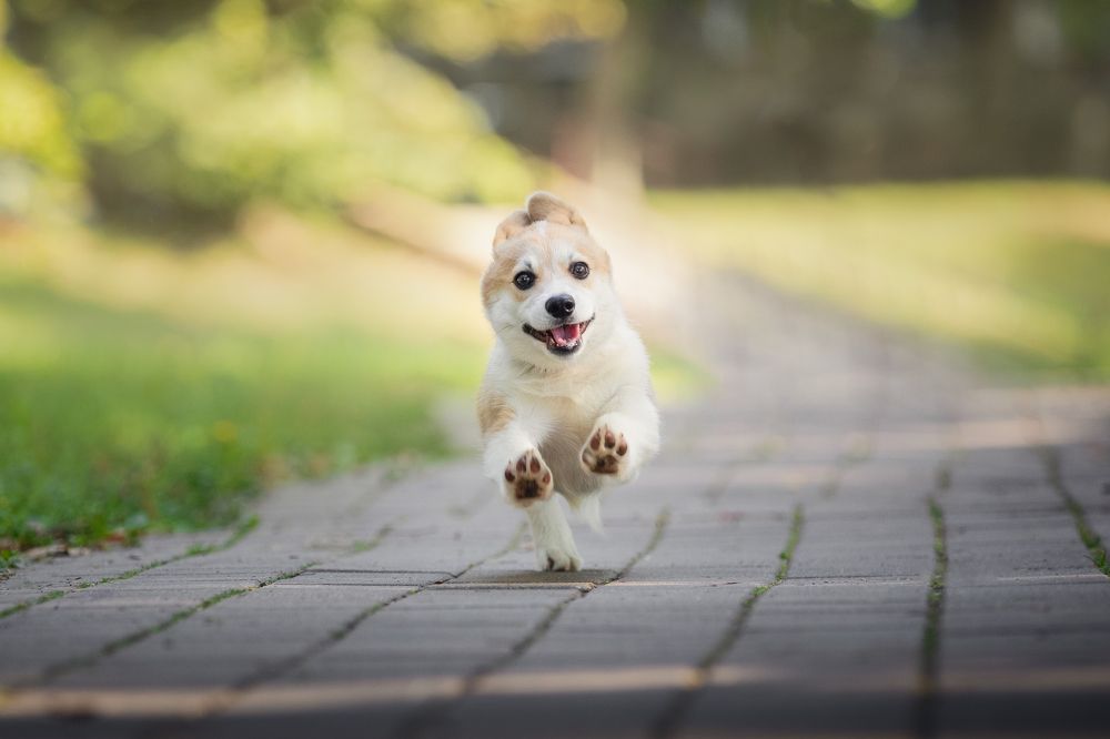 Photograph by Владислава Протащик