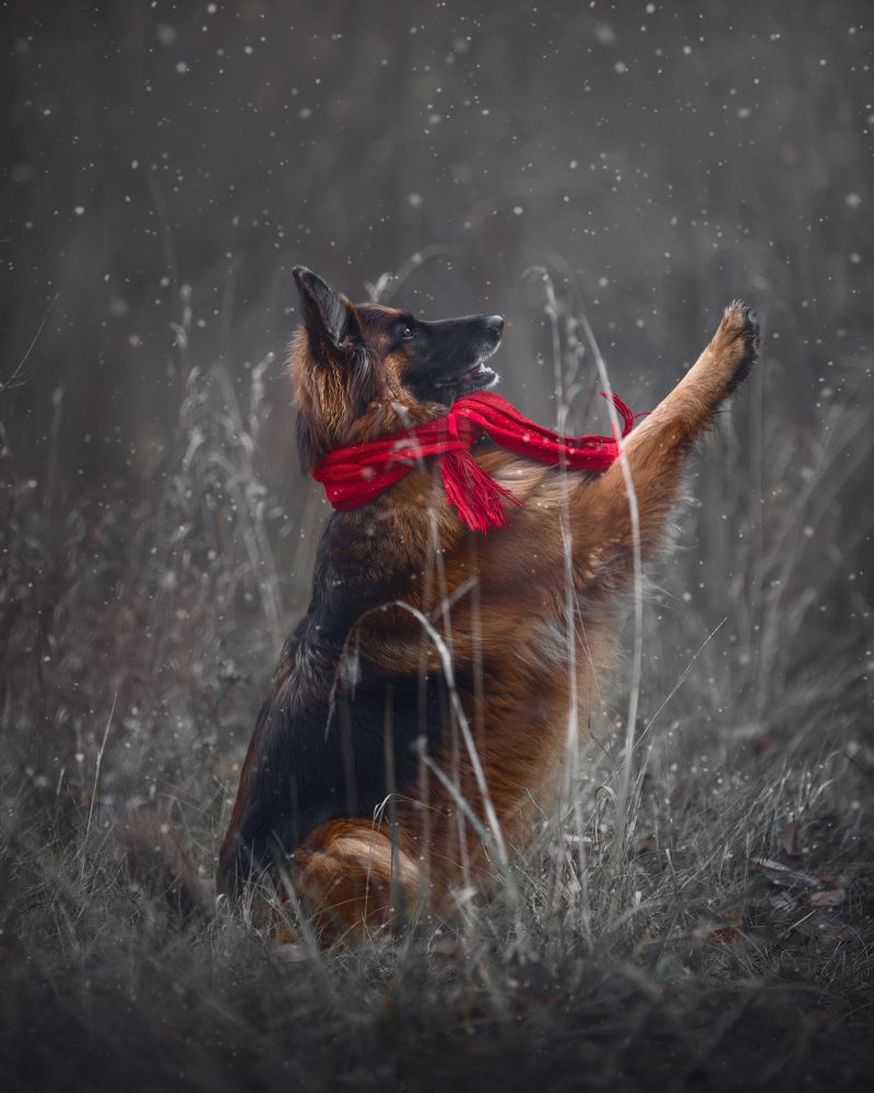 Photograph by Владислава Протащик
