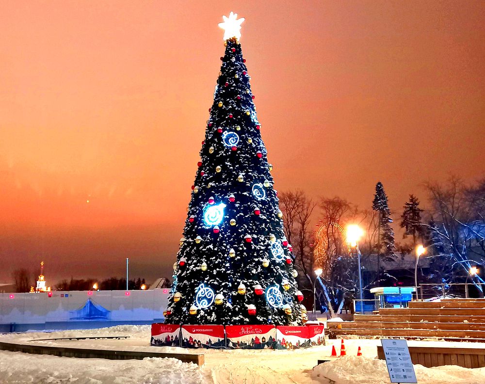 Вечерняя праздничная ёлка