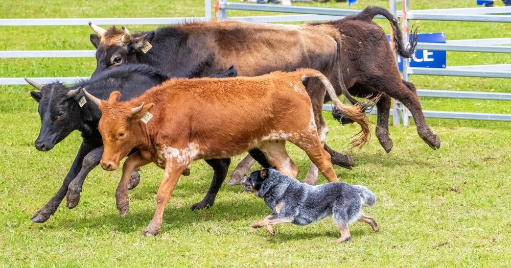 Photograph by Rosemary Richards