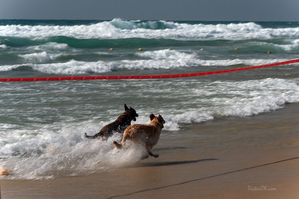 Photograph by Victor Oknyansky