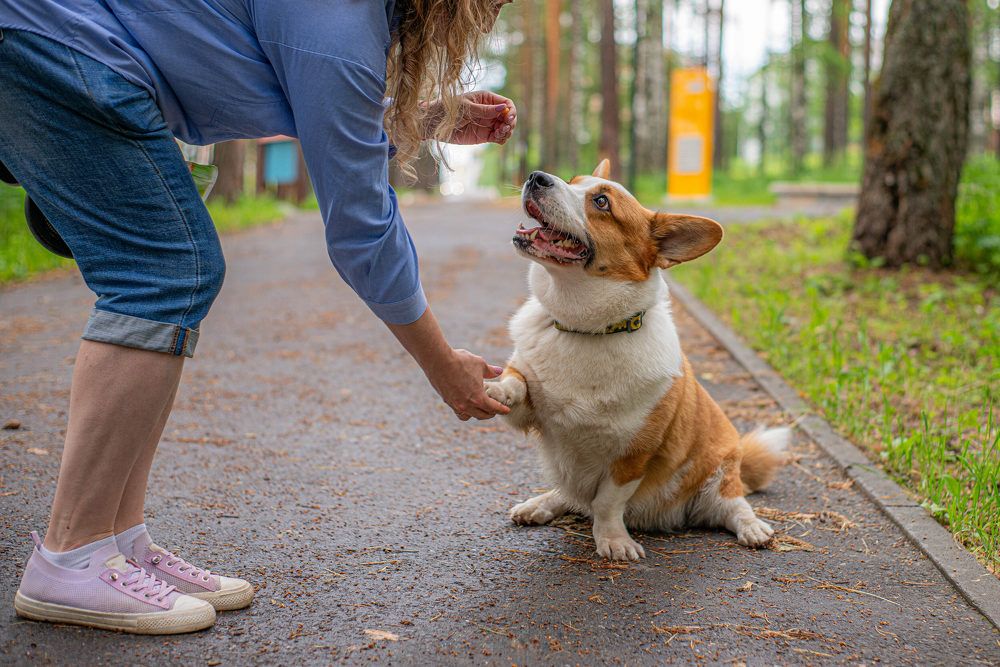 Фотография автора Михаил Кругов