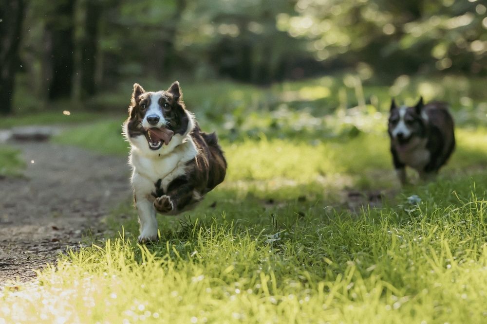 Photograph by Ольга Веретенникова