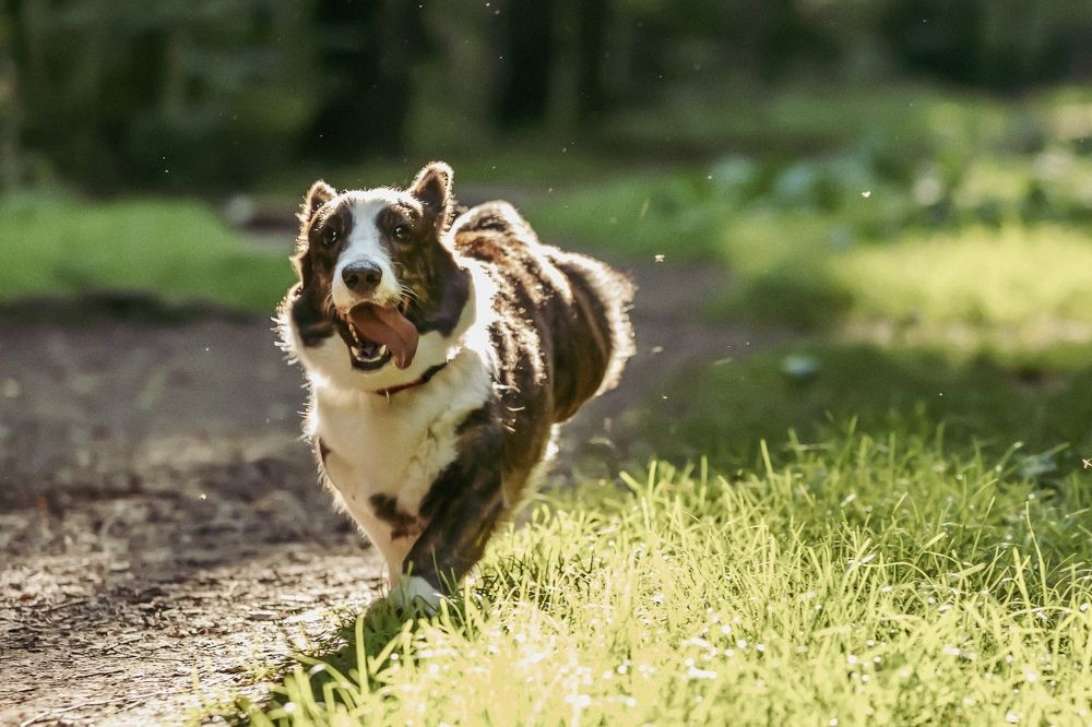 Photograph by Ольга Веретенникова
