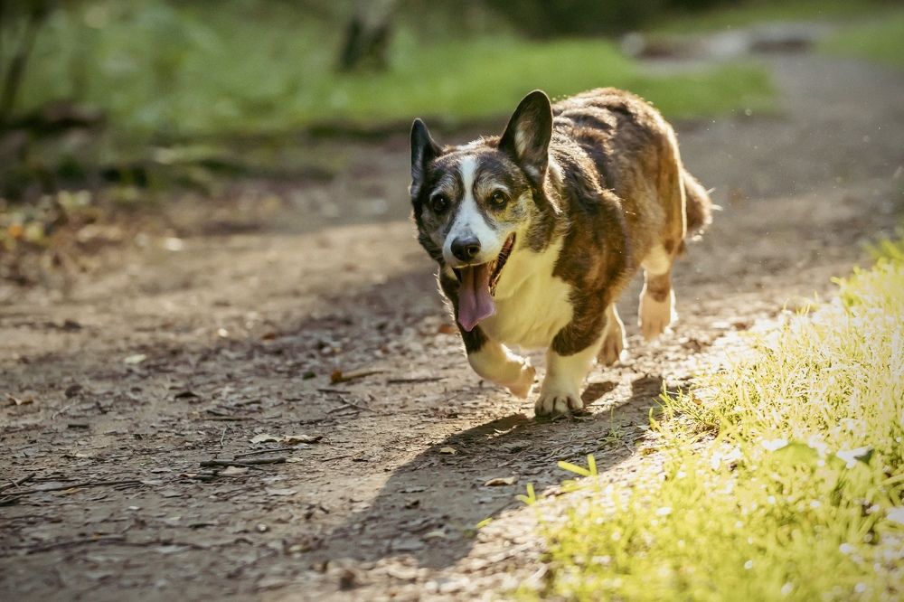 Photograph by Ольга Веретенникова