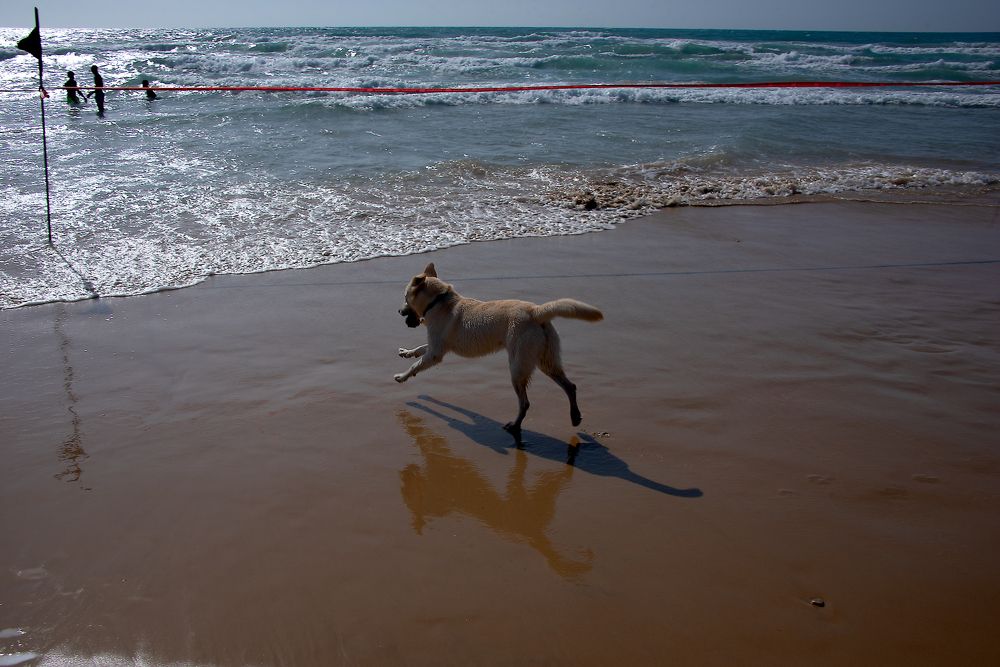 Photograph by Victor Oknyansky