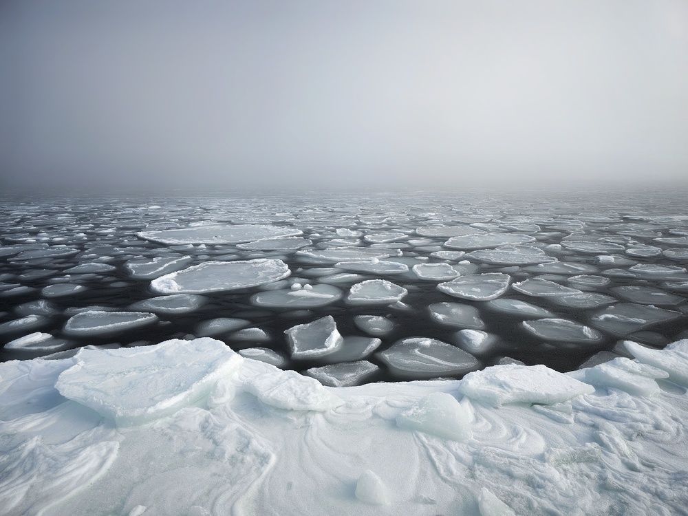 Photograph by Александра Карпцова