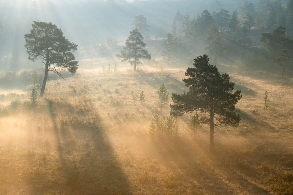 Photograph by Andrey Shishkalov