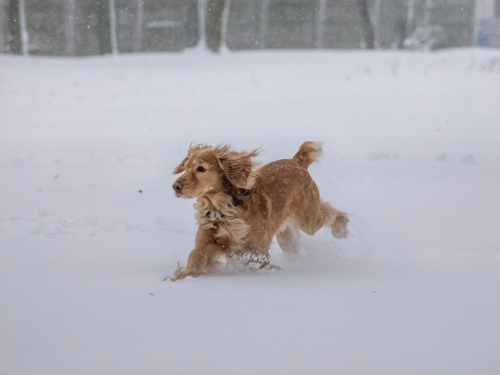 Photograph by Хабаров Сергей