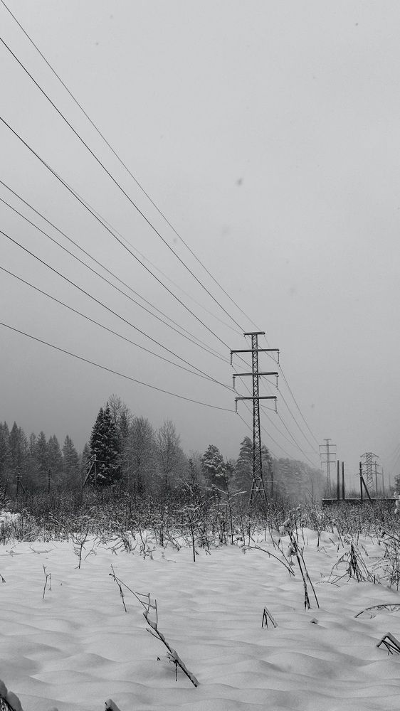 Photograph by Светлана Родионова