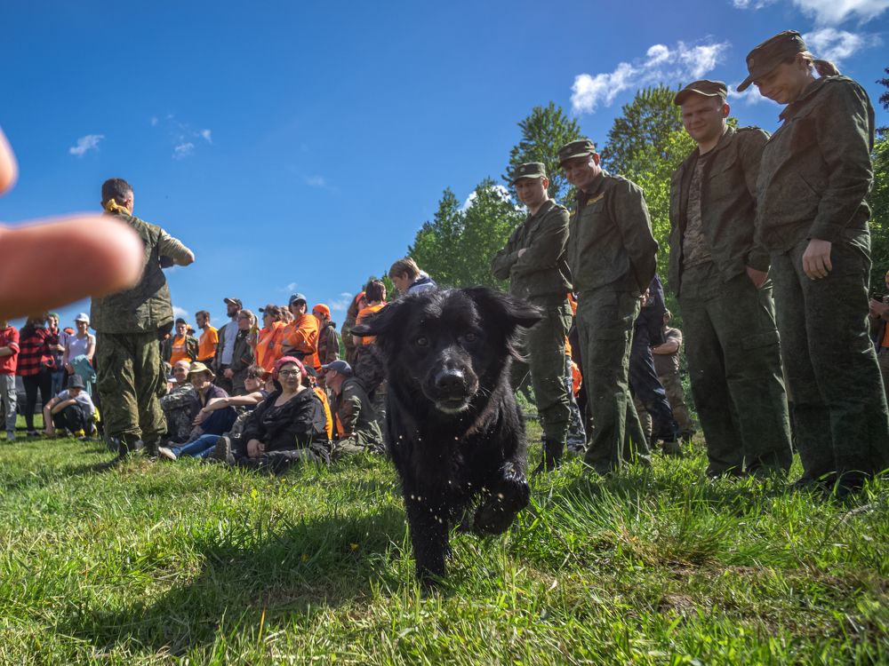 Photograph by Хабаров Сергей