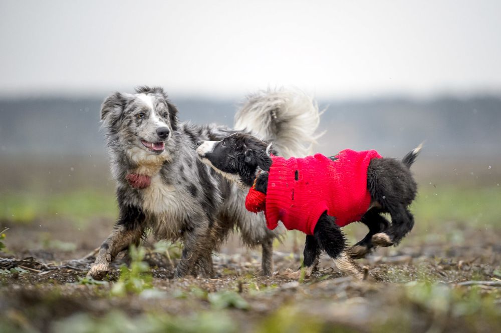 Photograph by Alexander Vlasov