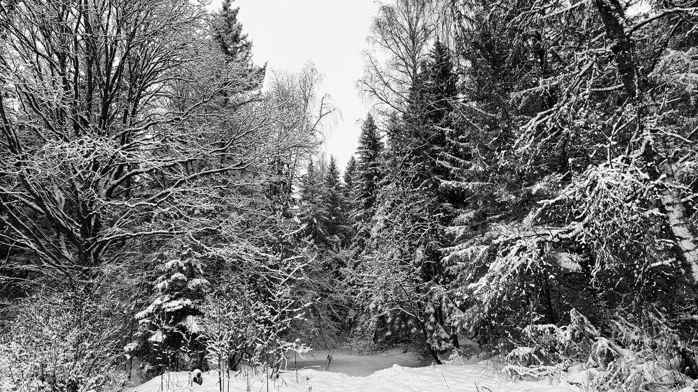 Photograph by Светлана Родионова