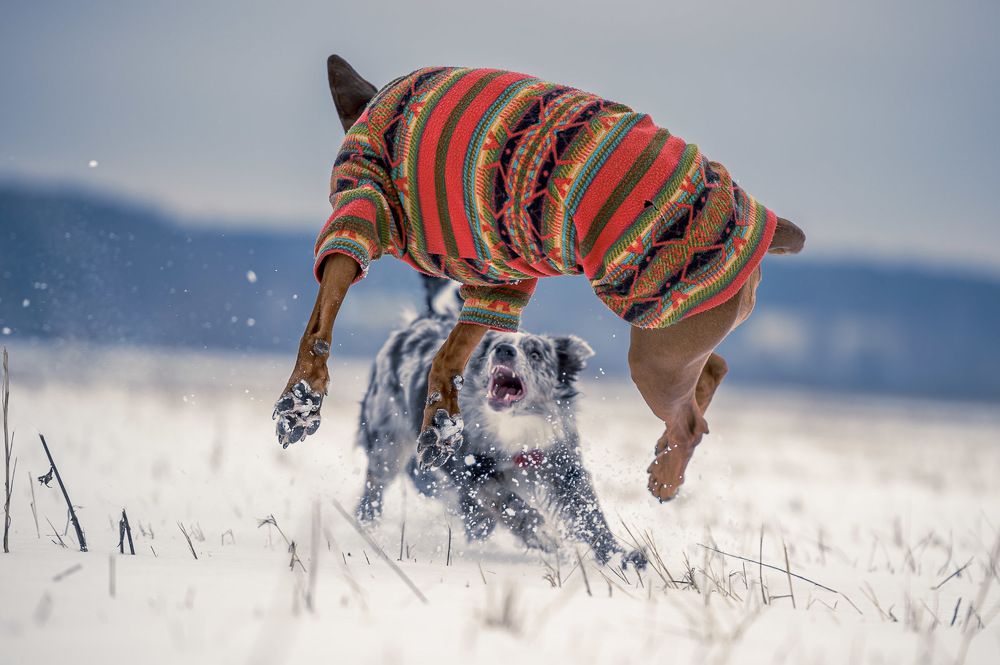 Photograph by Alexander Vlasov