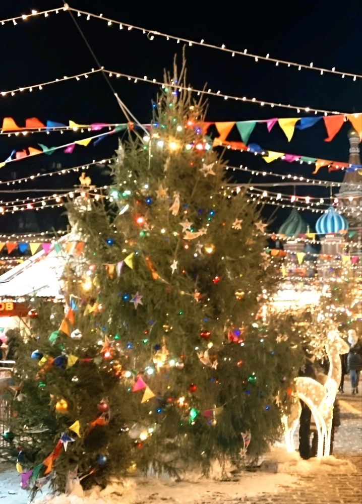 У новогодней елки