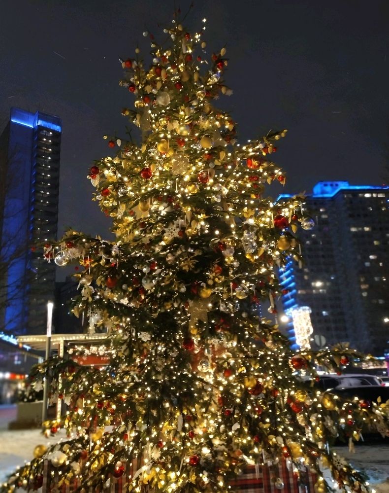 Елка на Новом Арбате