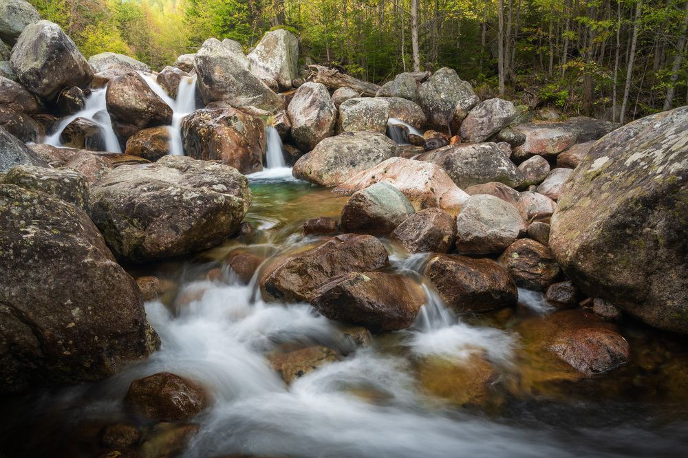 Photograph by Tomáš Jurník