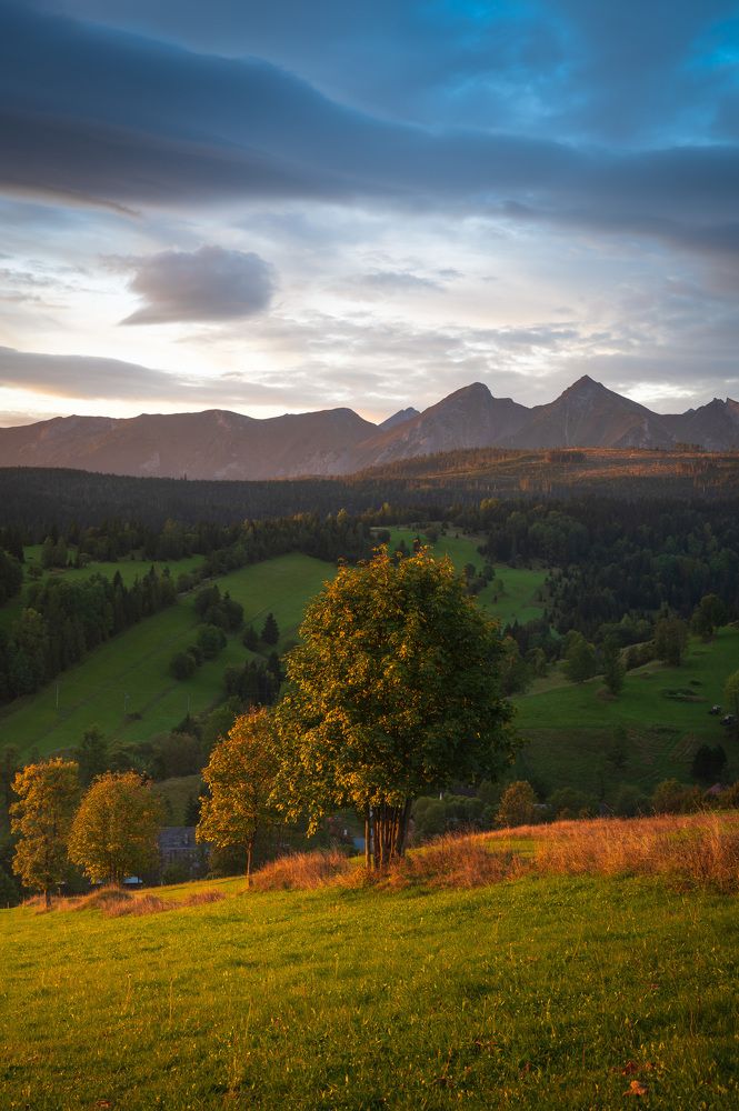 Photograph by Tomáš Jurník