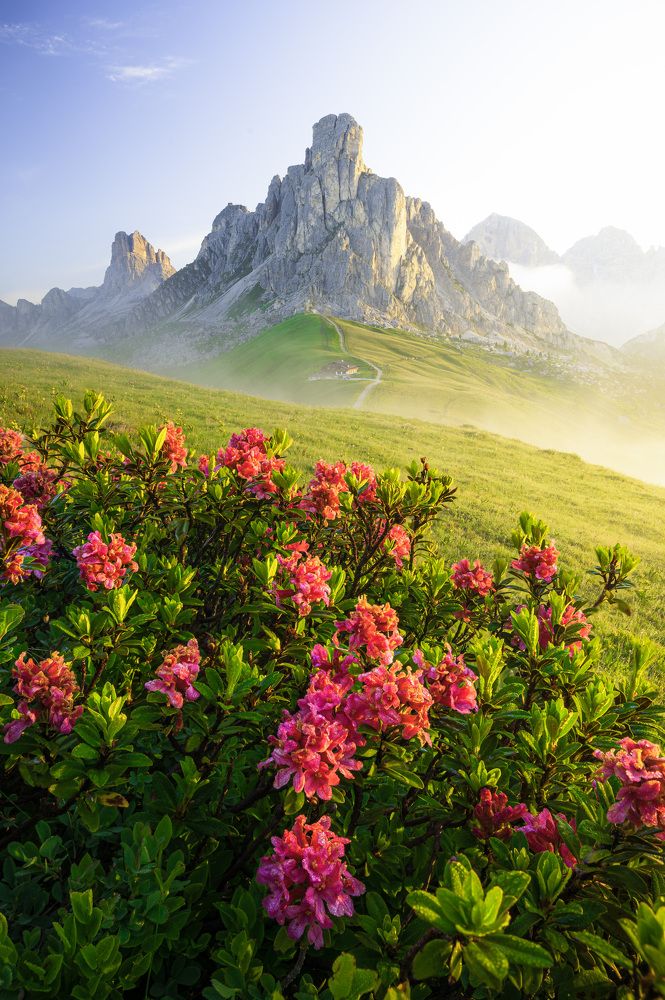 Photograph by Tomáš Jurník