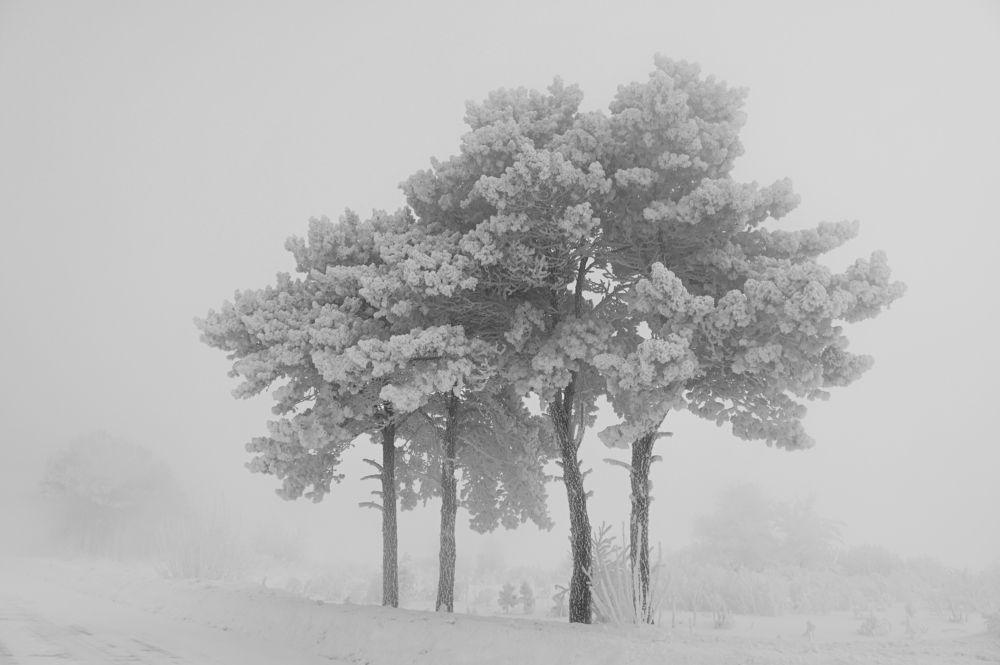 Photograph by Юрий Гау