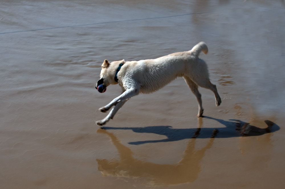 Photograph by Victor Oknyansky