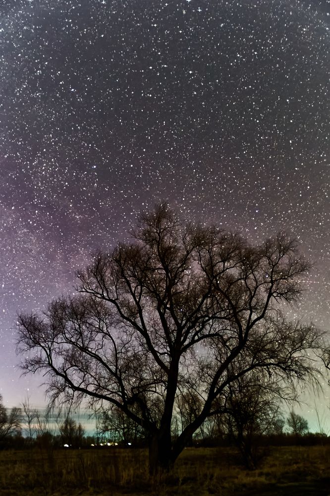 Фотография автора Игорь Игоревич