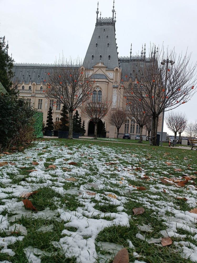 Photo #11578535