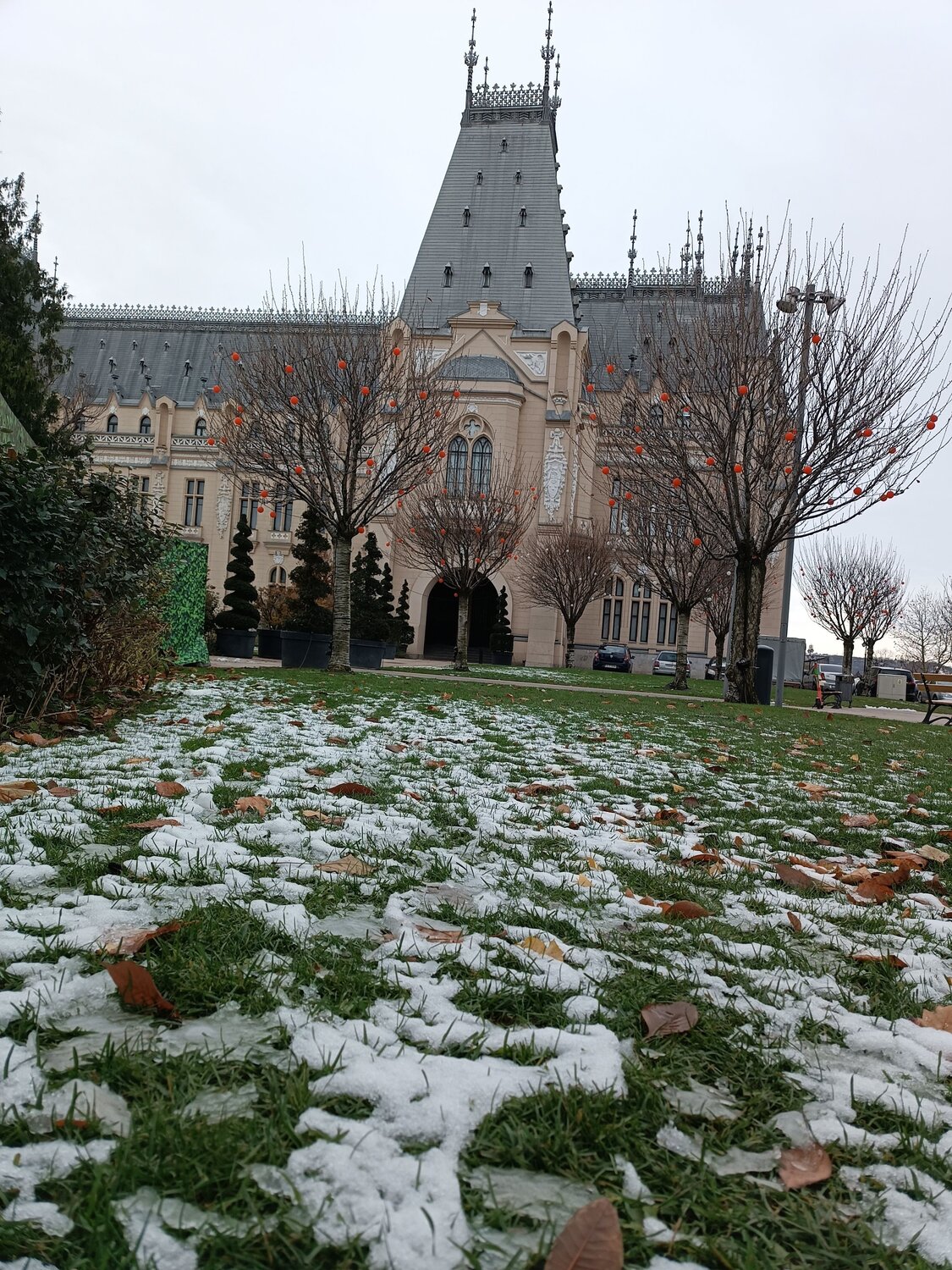 Photo #11578535