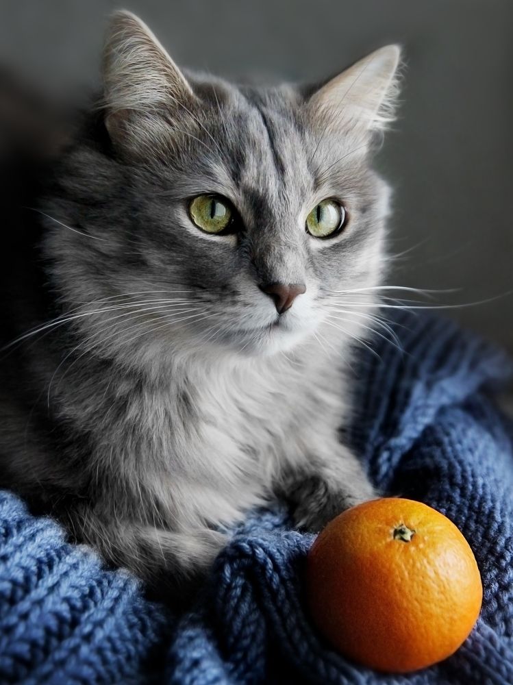 Photograph by Елена Кондратьева