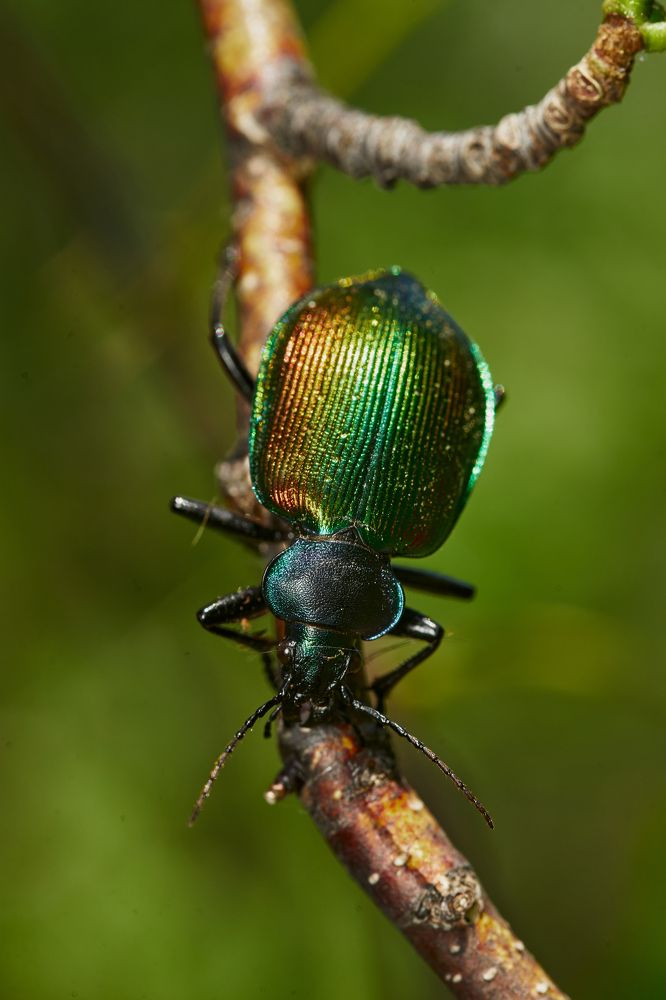Фотография автора Игорь Игоревич
