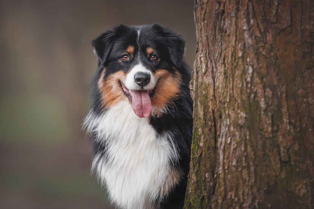 Photograph by Яна Нарбутович