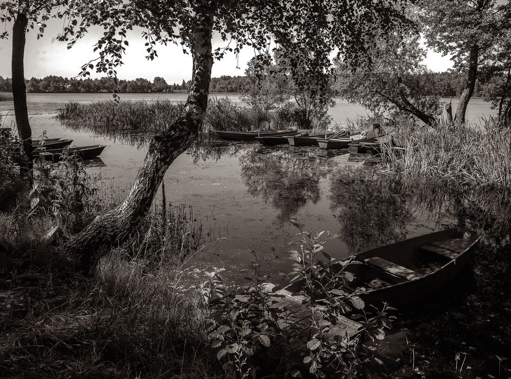 Photograph by Тамара Цилиакус