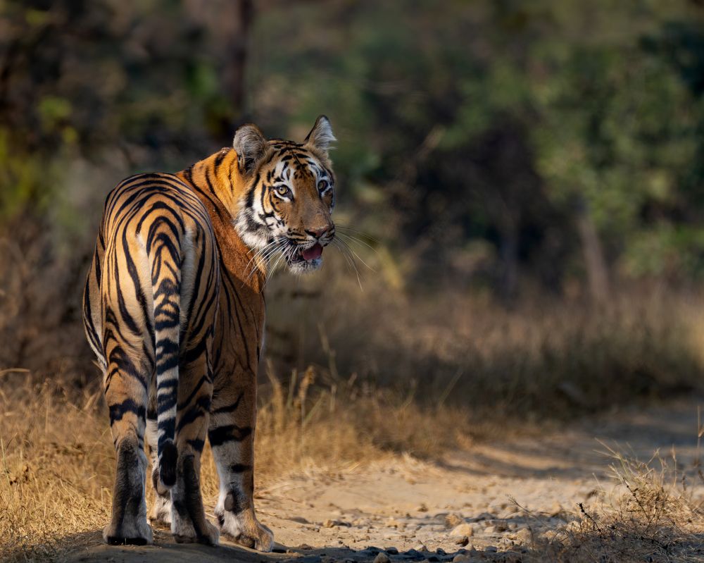 Photograph by Tarun Teja