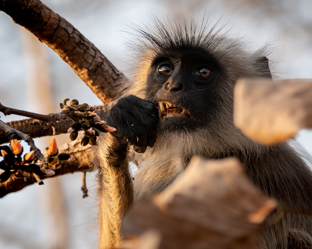 Photograph by Tarun Teja