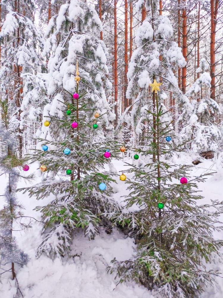 Фотография автора Александр Хухлов