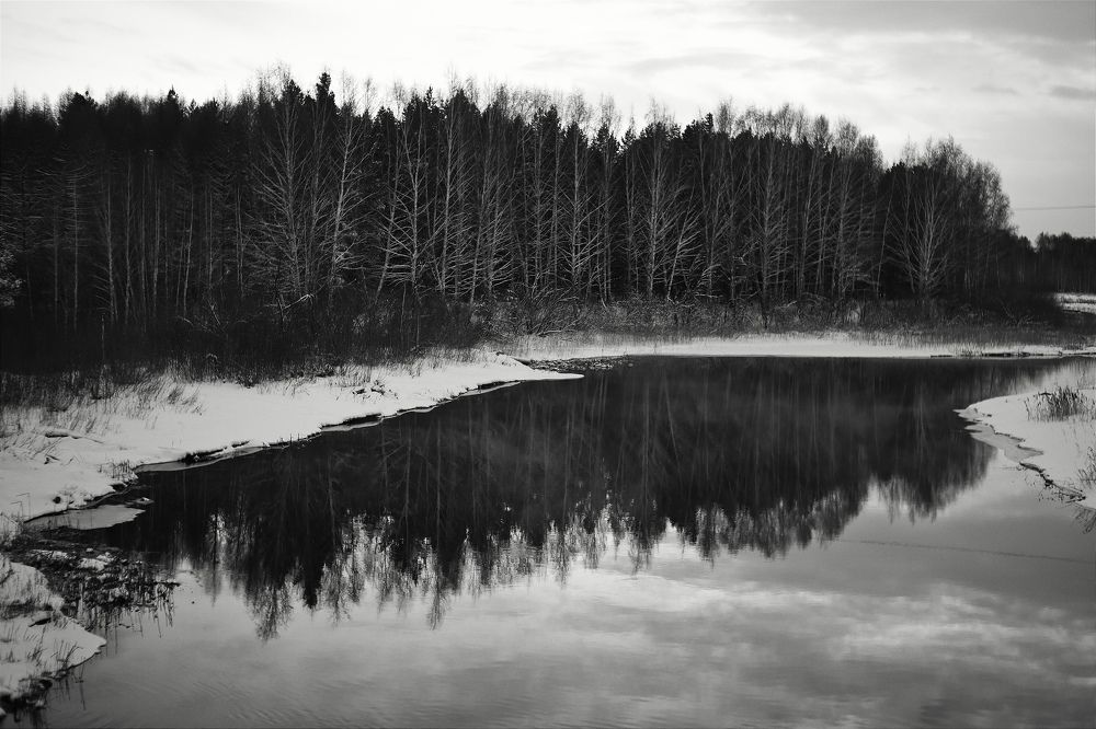 Фотография автора Светлана Алехина