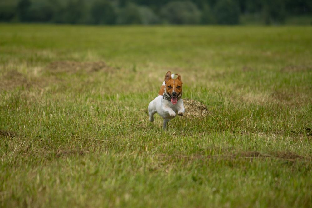 Photograph by Владислав Капанов