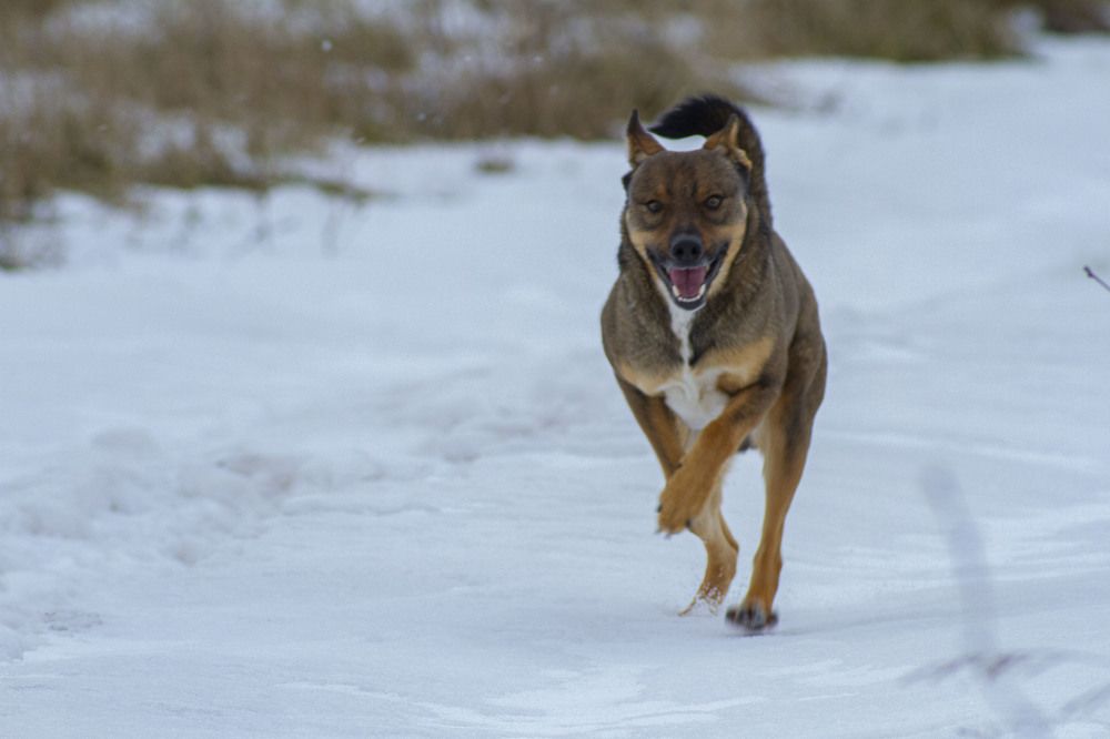 Photograph by Владислав Капанов