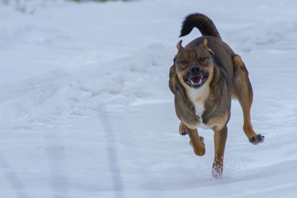 Photograph by Владислав Капанов