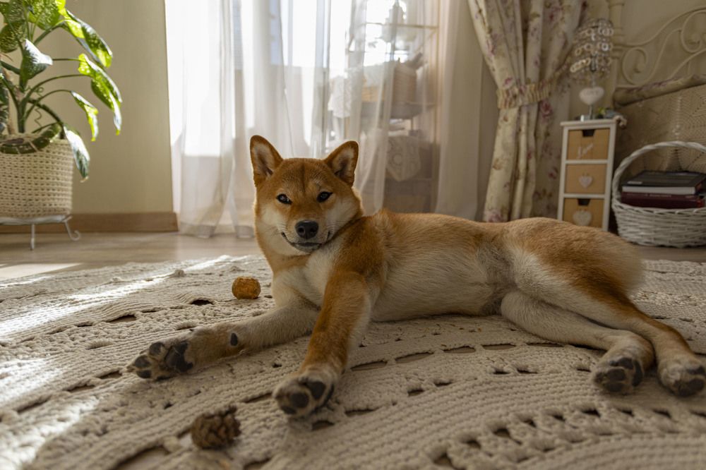 Photograph by Владислав Капанов