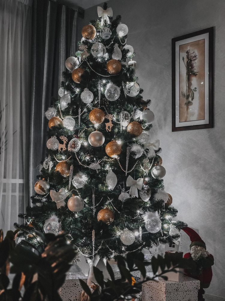 Photograph by Татьяна Гуцанович