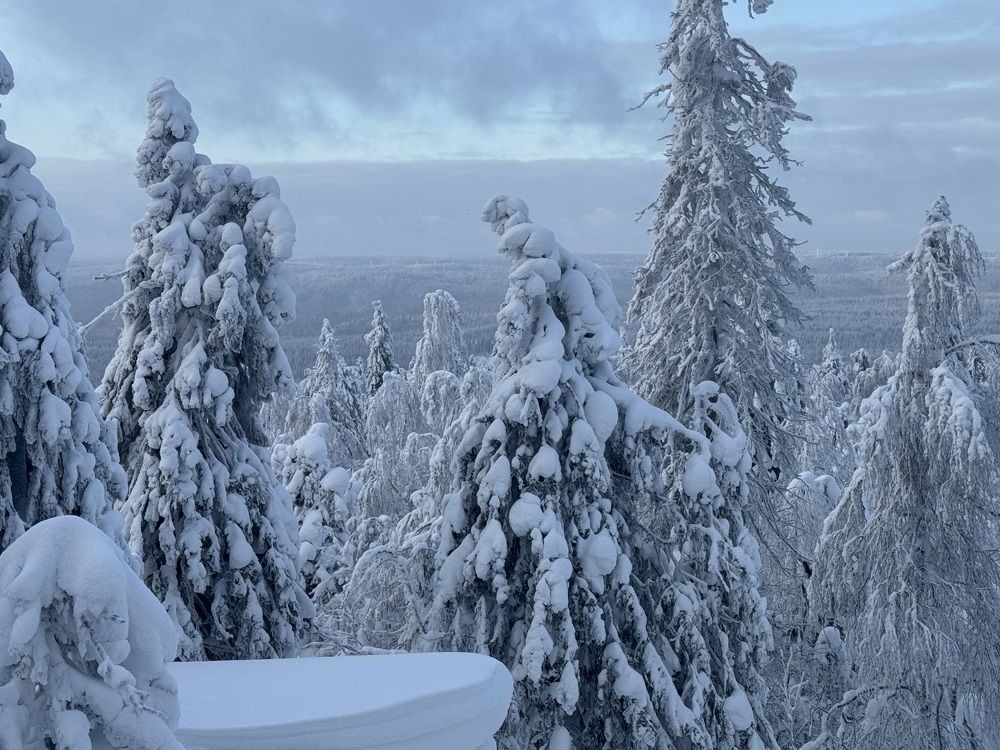 Photograph by Елена Карпухно