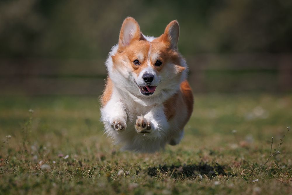 Photograph by Анна Титова