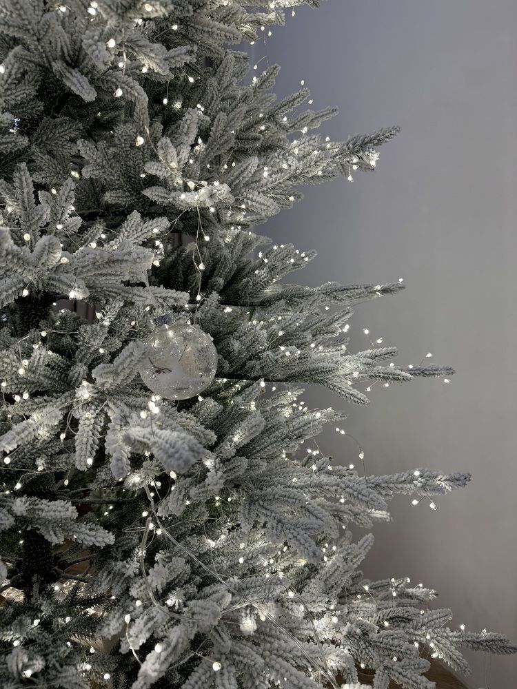 Photograph by Виктория Баева