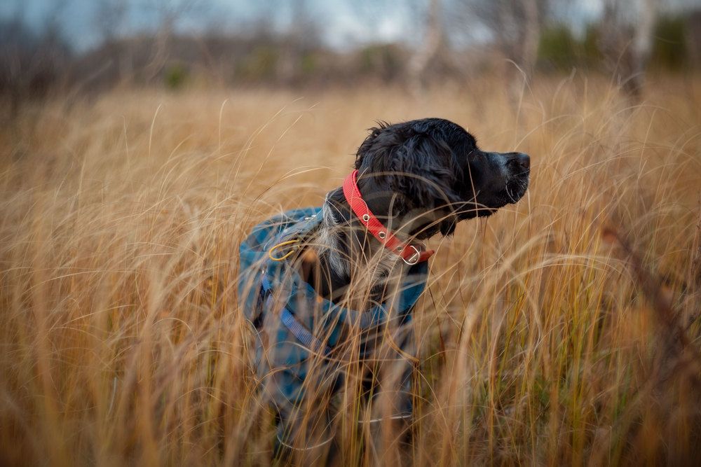 Photograph by Марина Зборацкая
