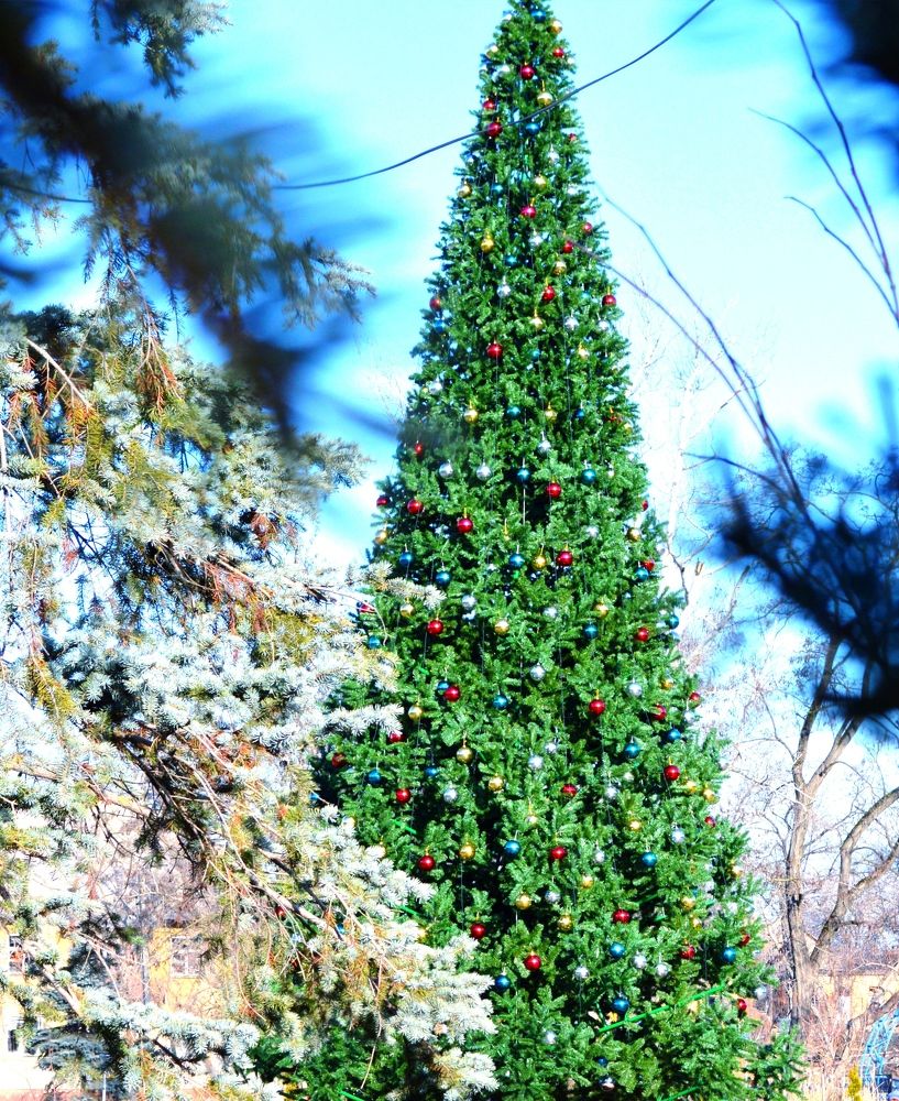 Photograph by Наталья Назаренко